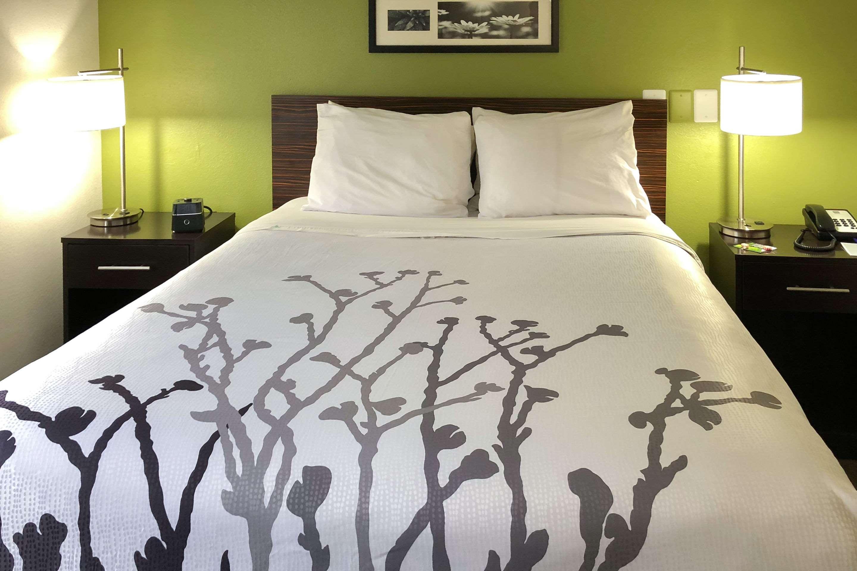 Sleep Inn McDonough Esterno foto